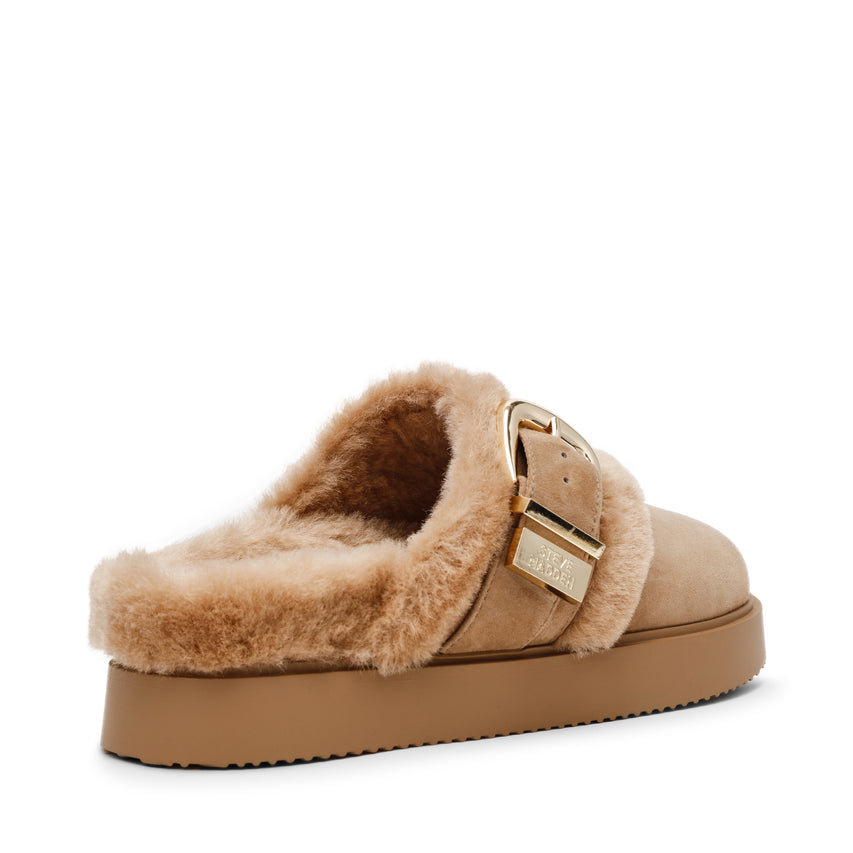 Cozy Up Tan Suede
