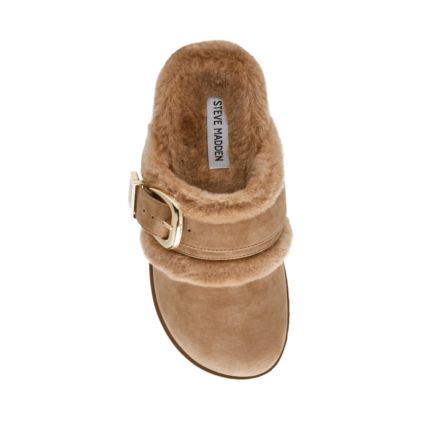 Cozy Up Tan Suede