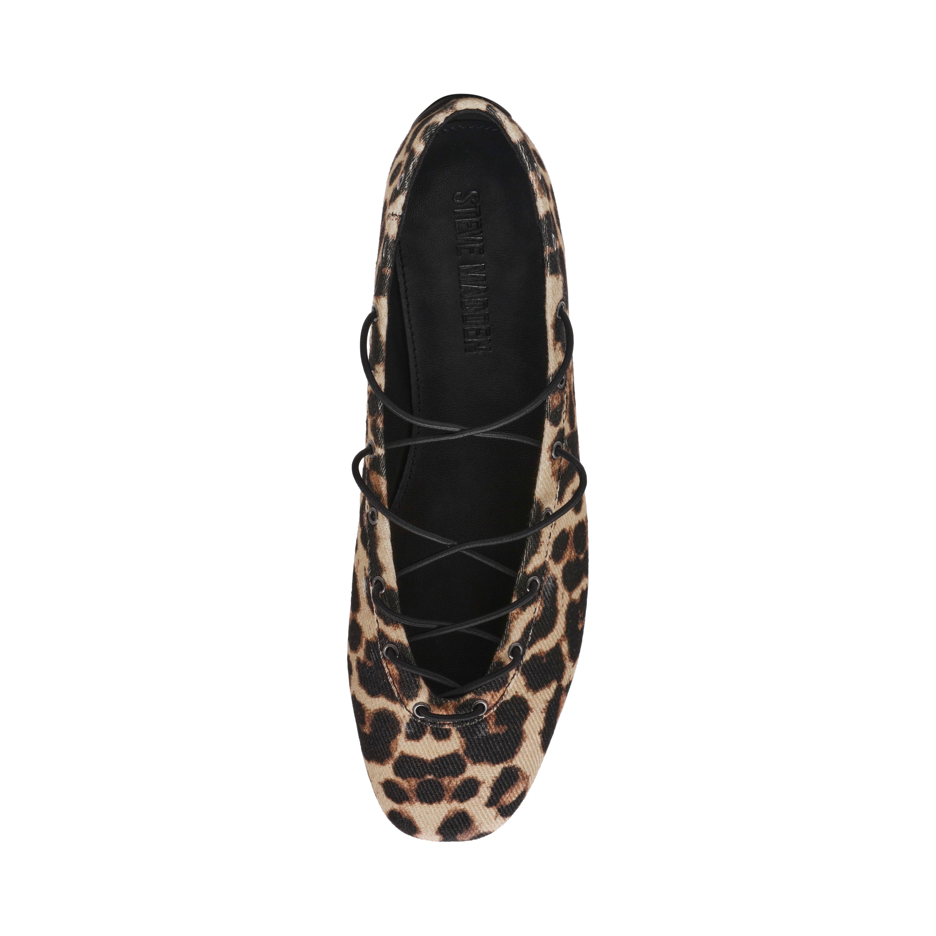 Pointe Leopard - view 6