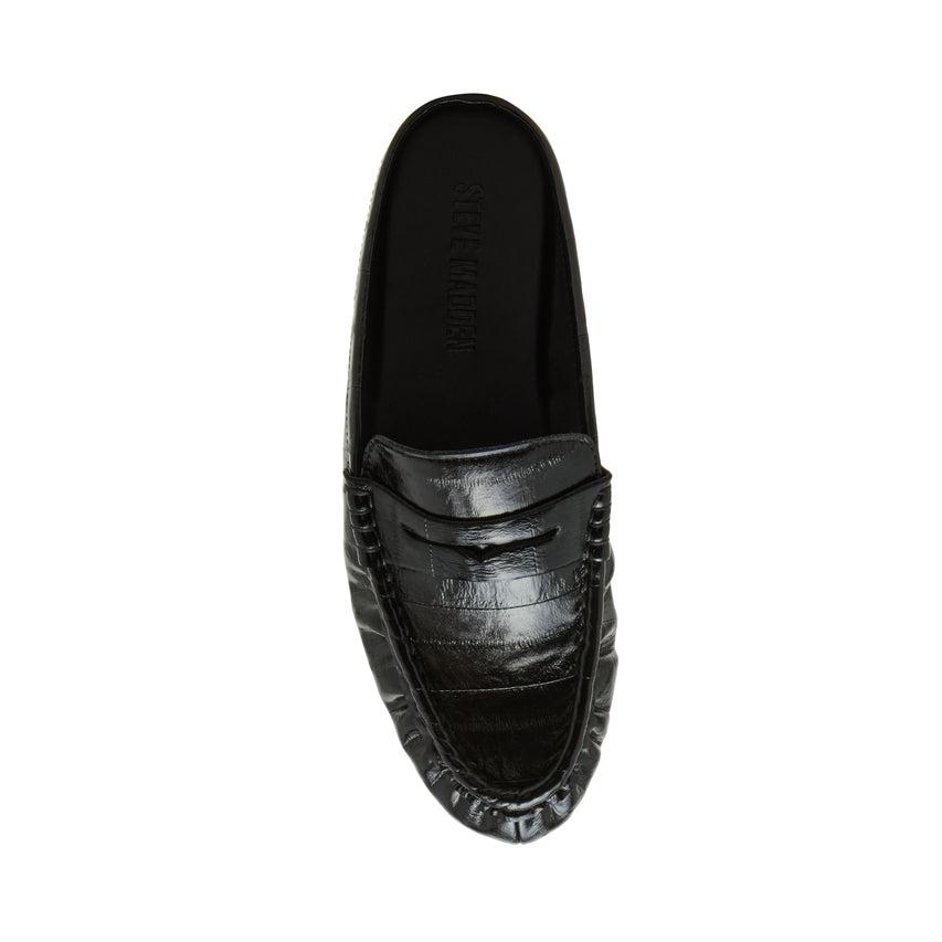 Rafe Black - view 6
