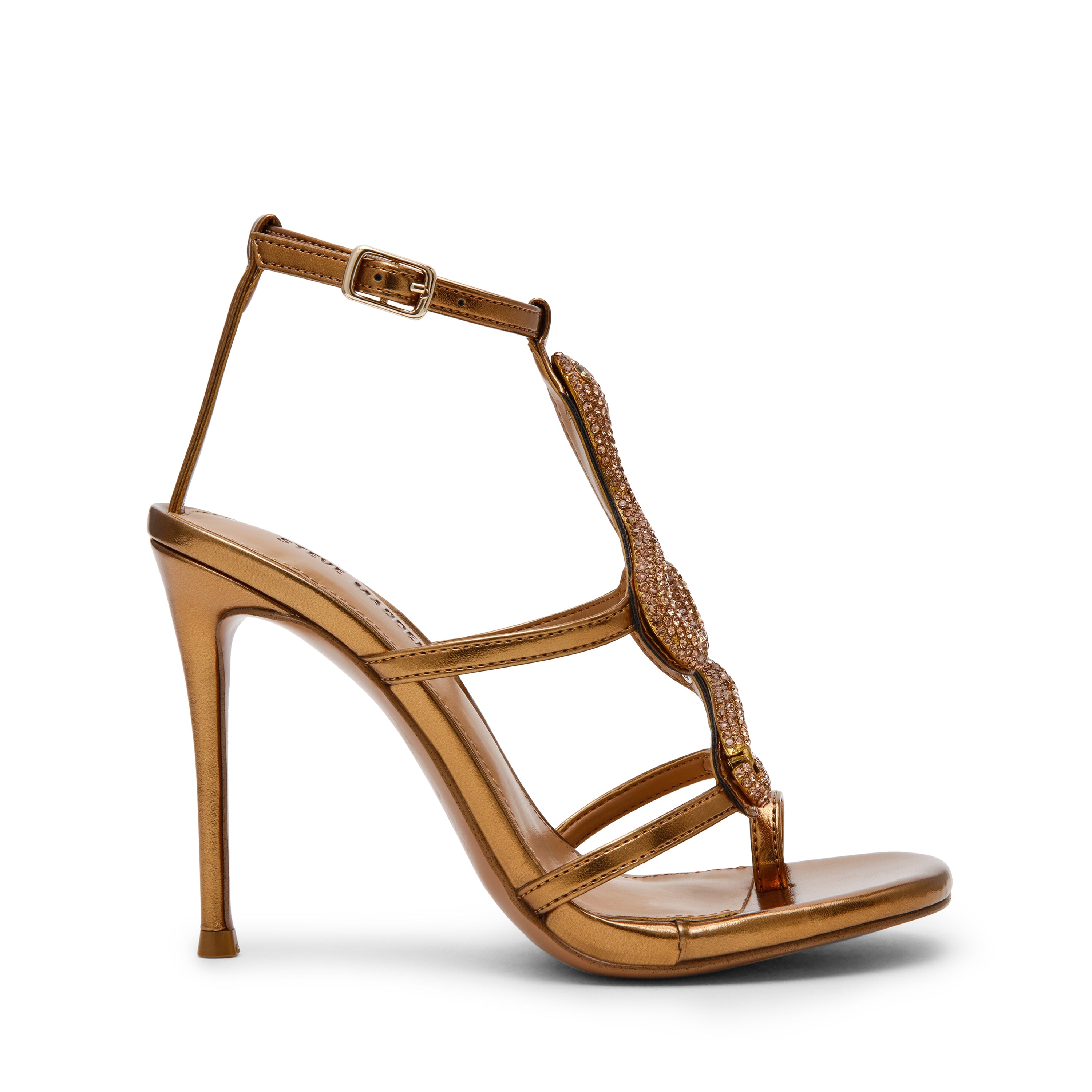 Python Bronze