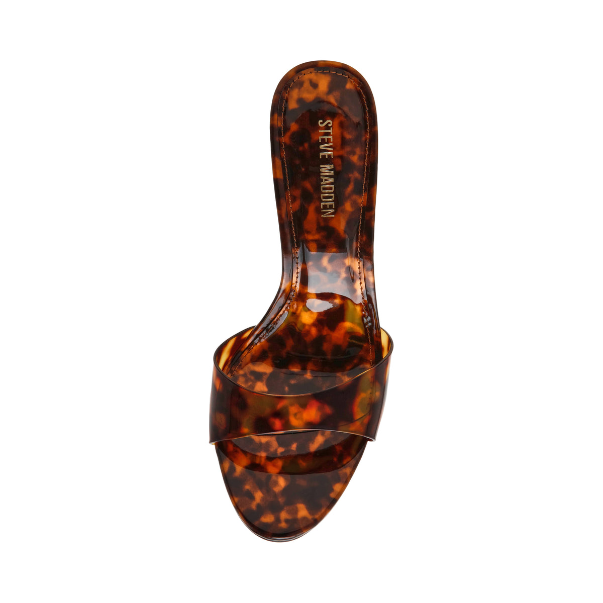 Davina Tortoise - view 6