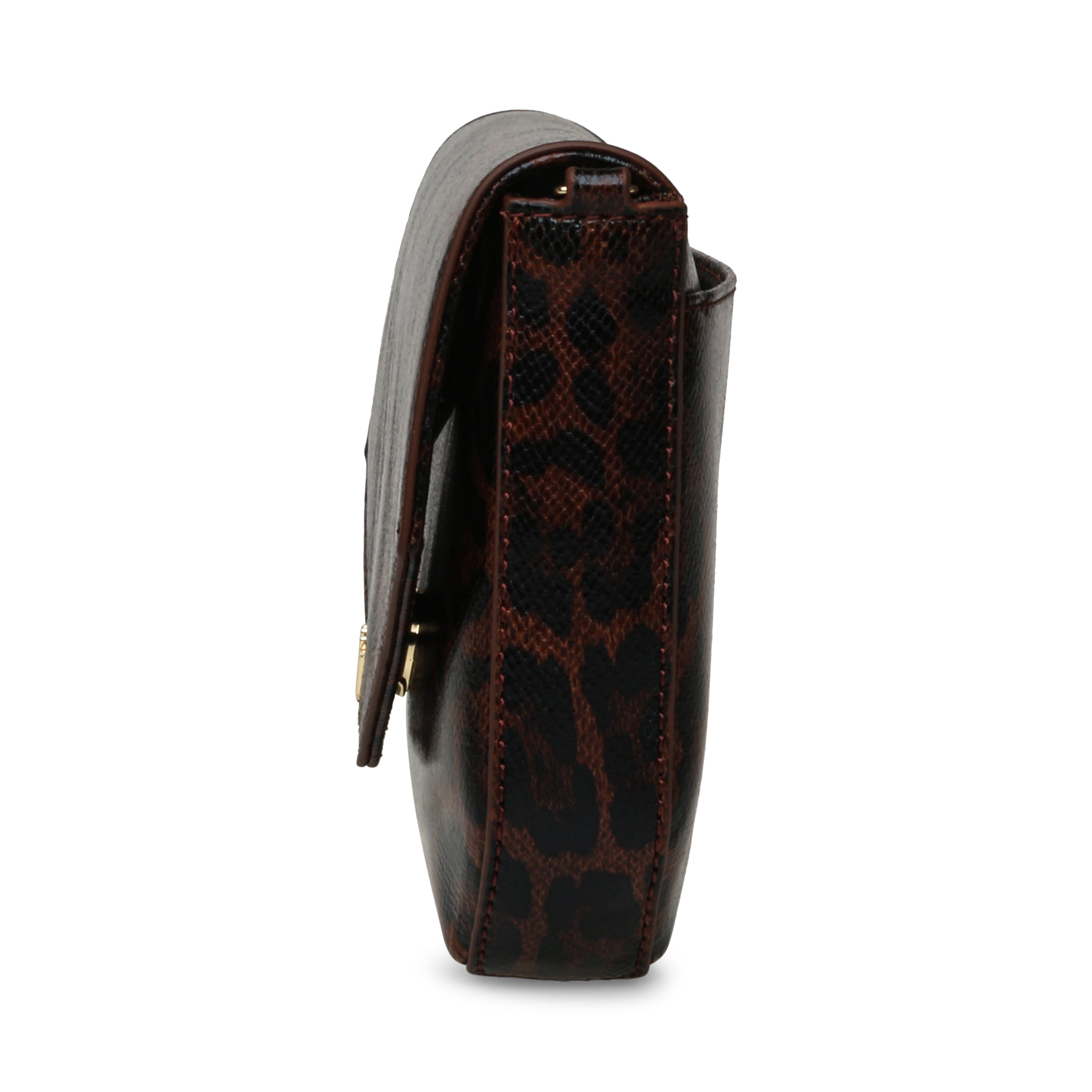 Bsandry-E Leopard