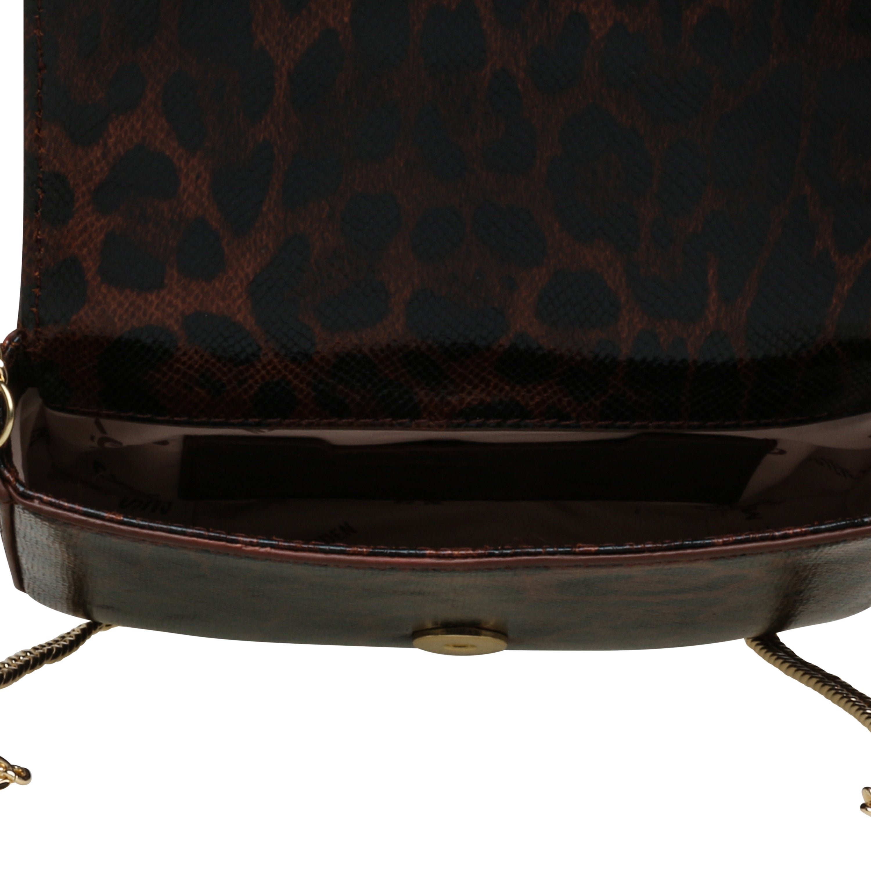 Bsandry-E Leopard