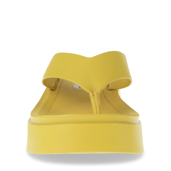 Carlene Citron