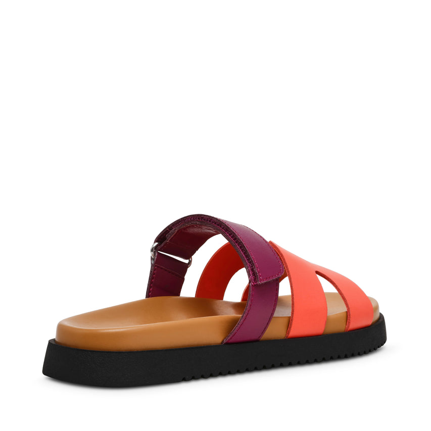 Missile Coral / Plum