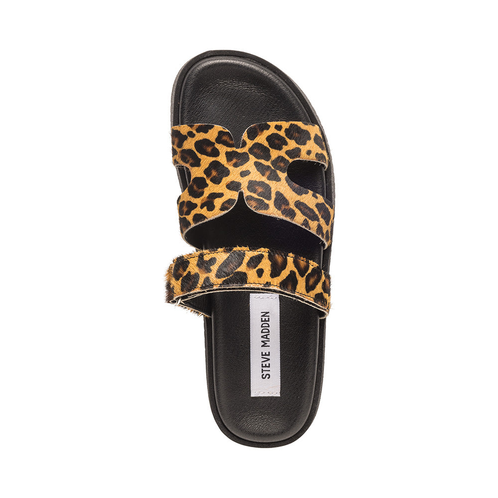 Missile-LC Leopard