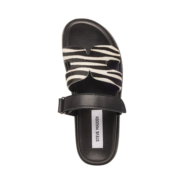 Missile-LC Black/Zebra