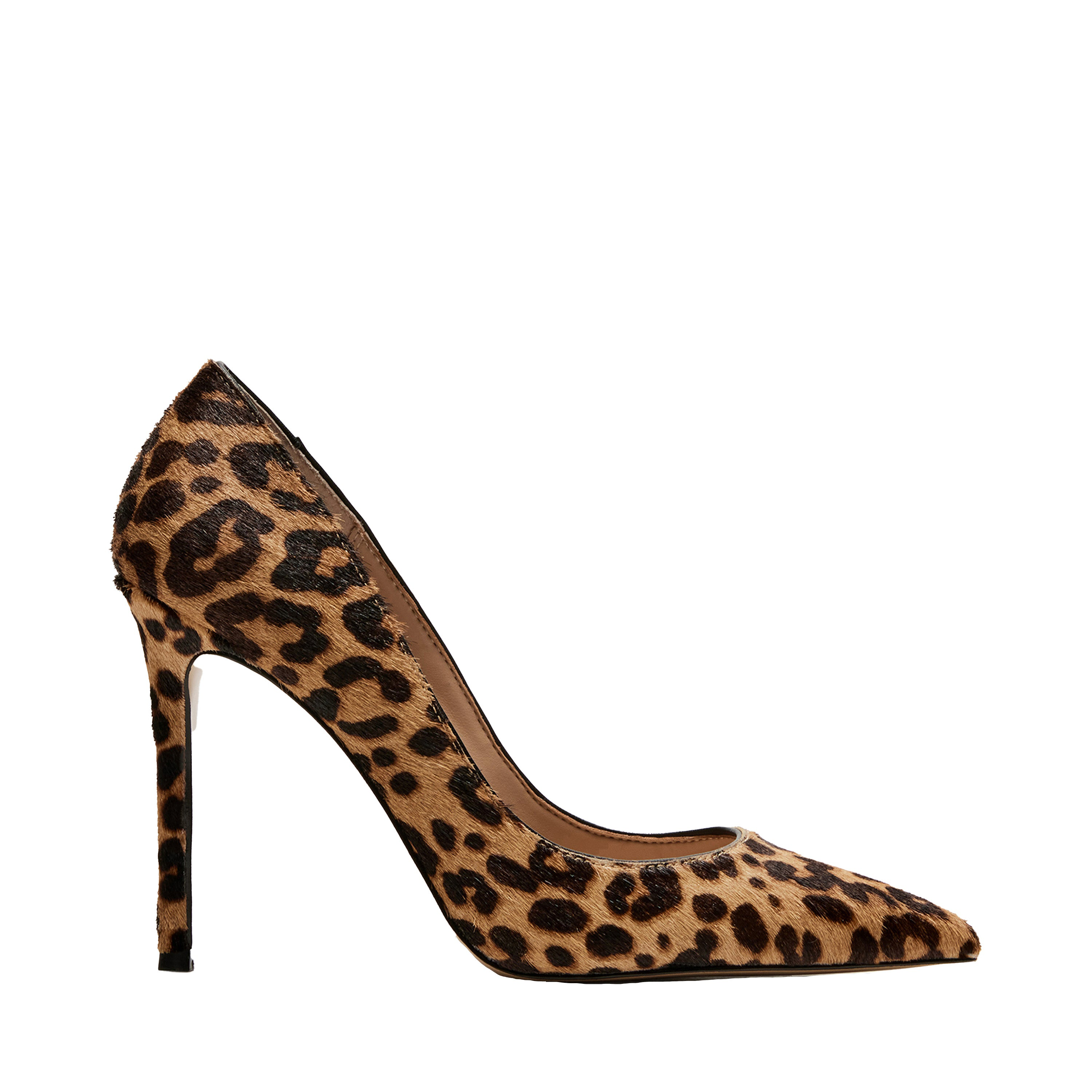 Evelyn-A Leopard