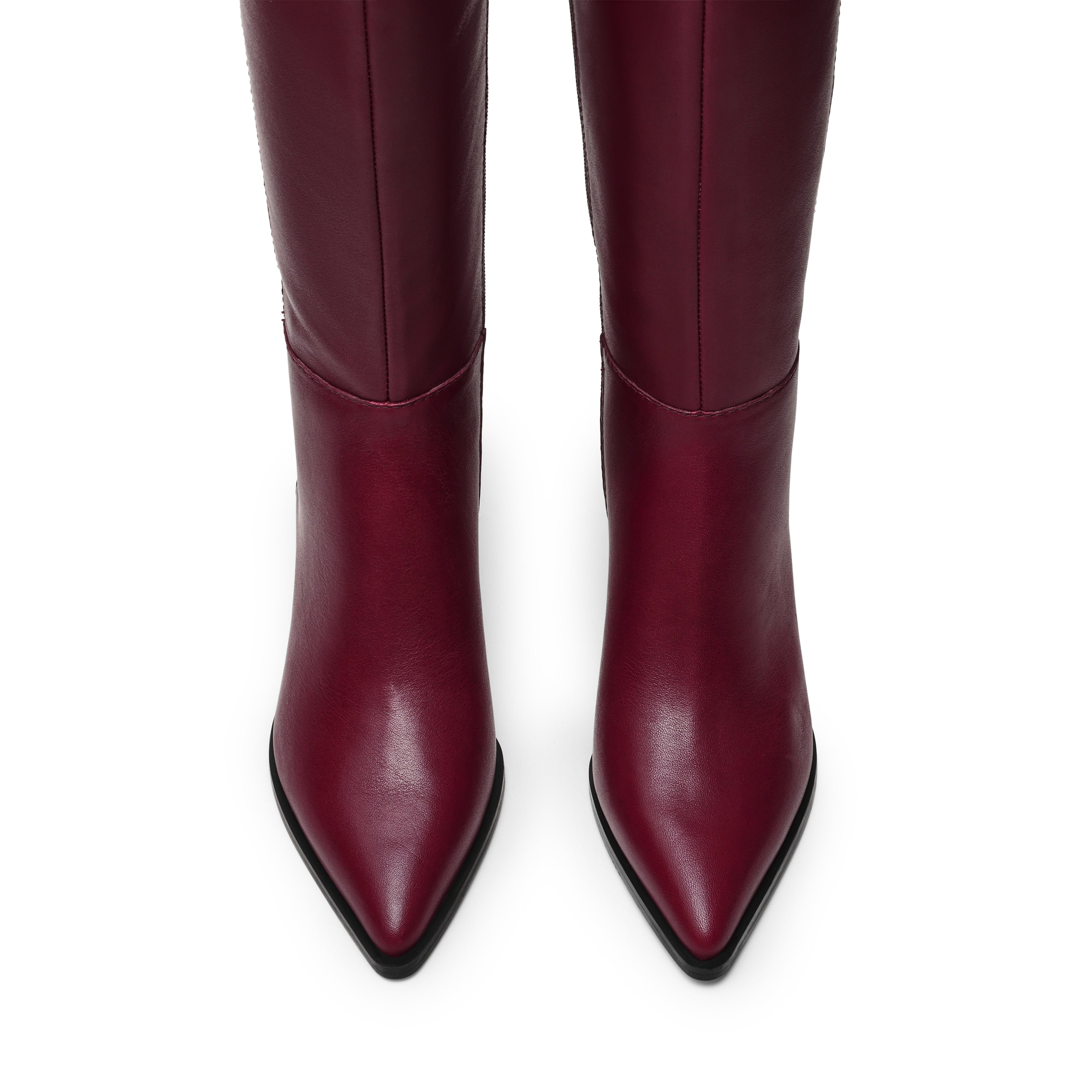 Lucid Burgundy