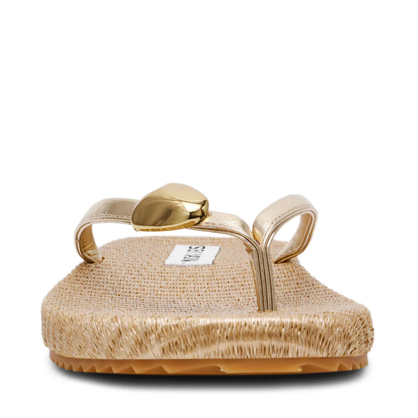 Surfup Gold - view 6