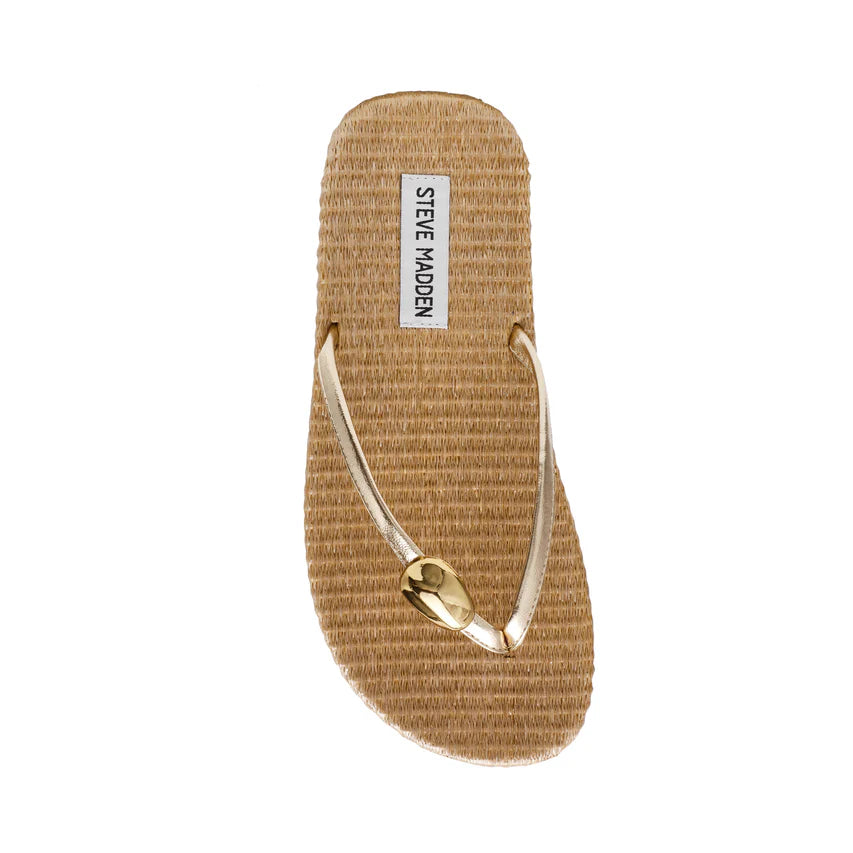 Surfup Gold - view 4